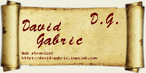 David Gabrić vizit kartica